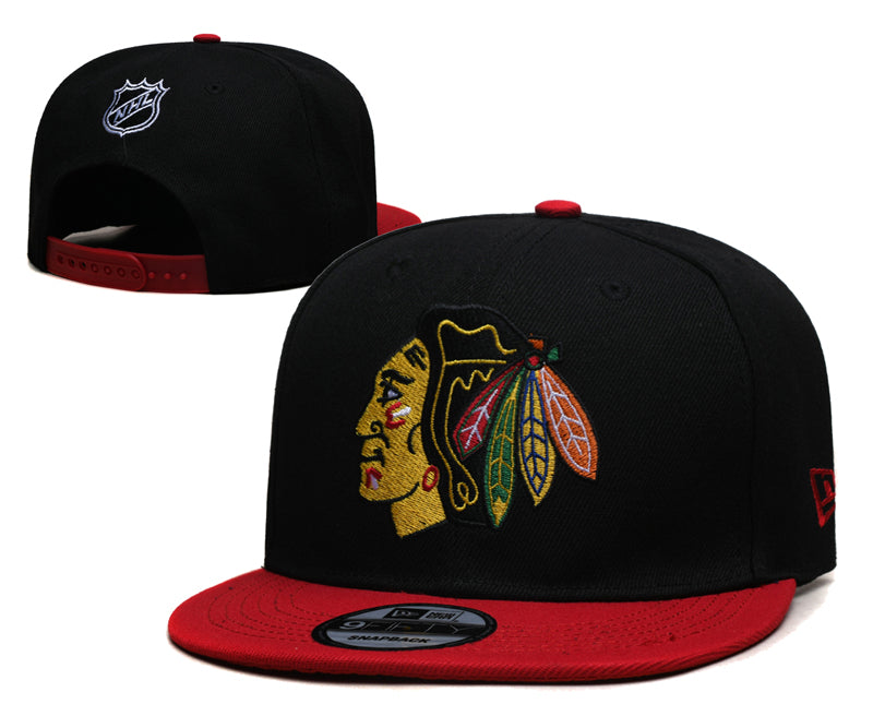 NHL Snapbacks